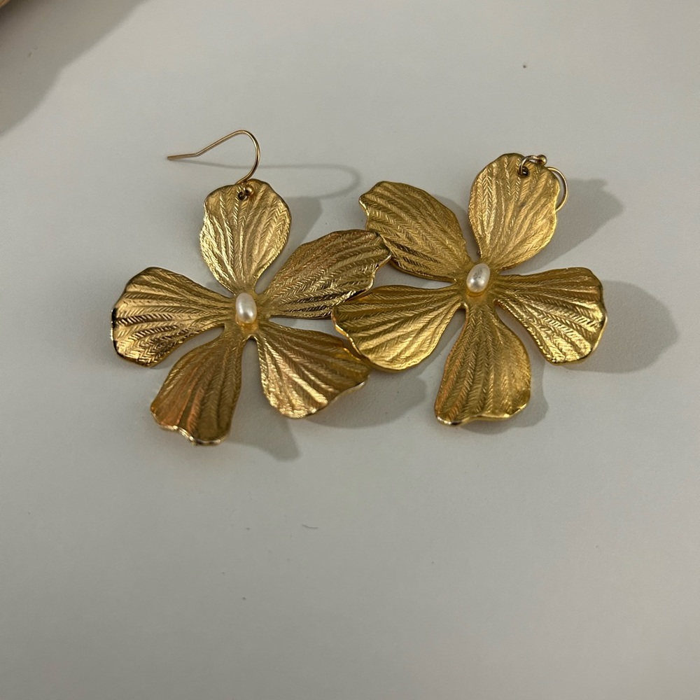 Anthro earnings